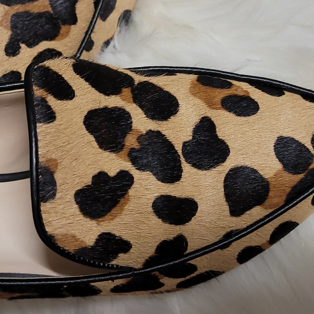Cole Haan Leopard Print Flats - Picture 4 of 9